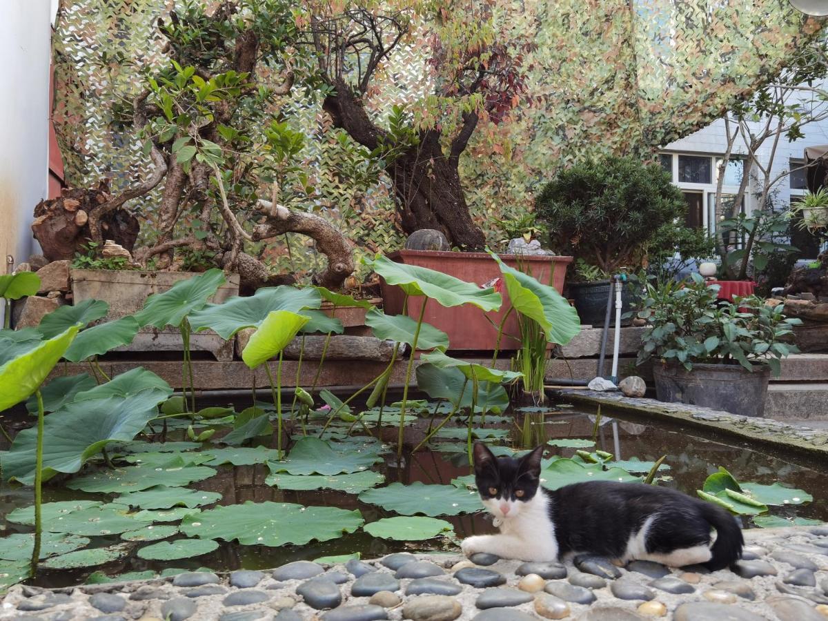 The Lily Pad Inn Dali  Exteriör bild