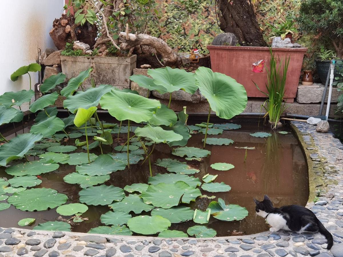 The Lily Pad Inn Dali  Exteriör bild