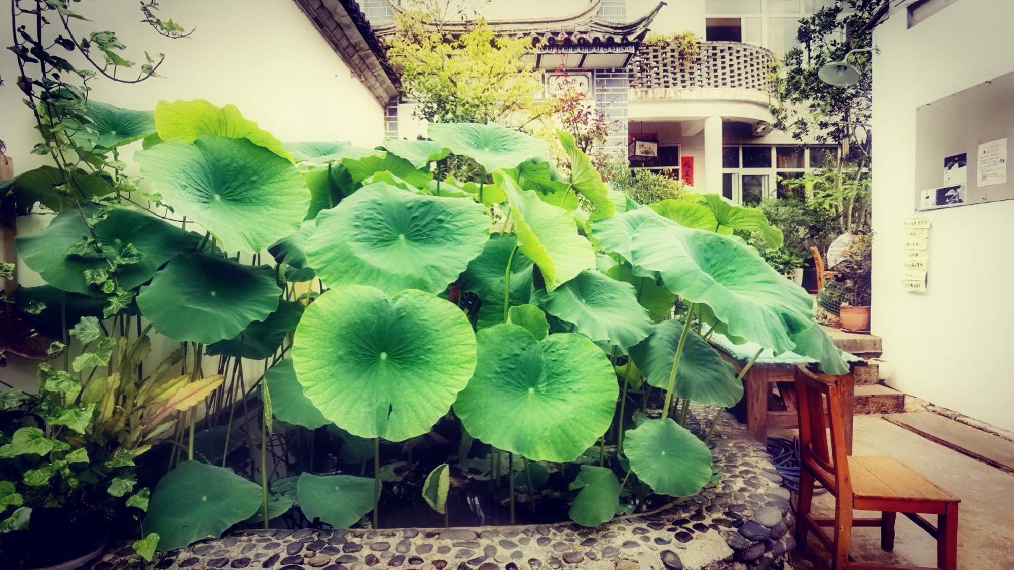 The Lily Pad Inn Dali  Exteriör bild