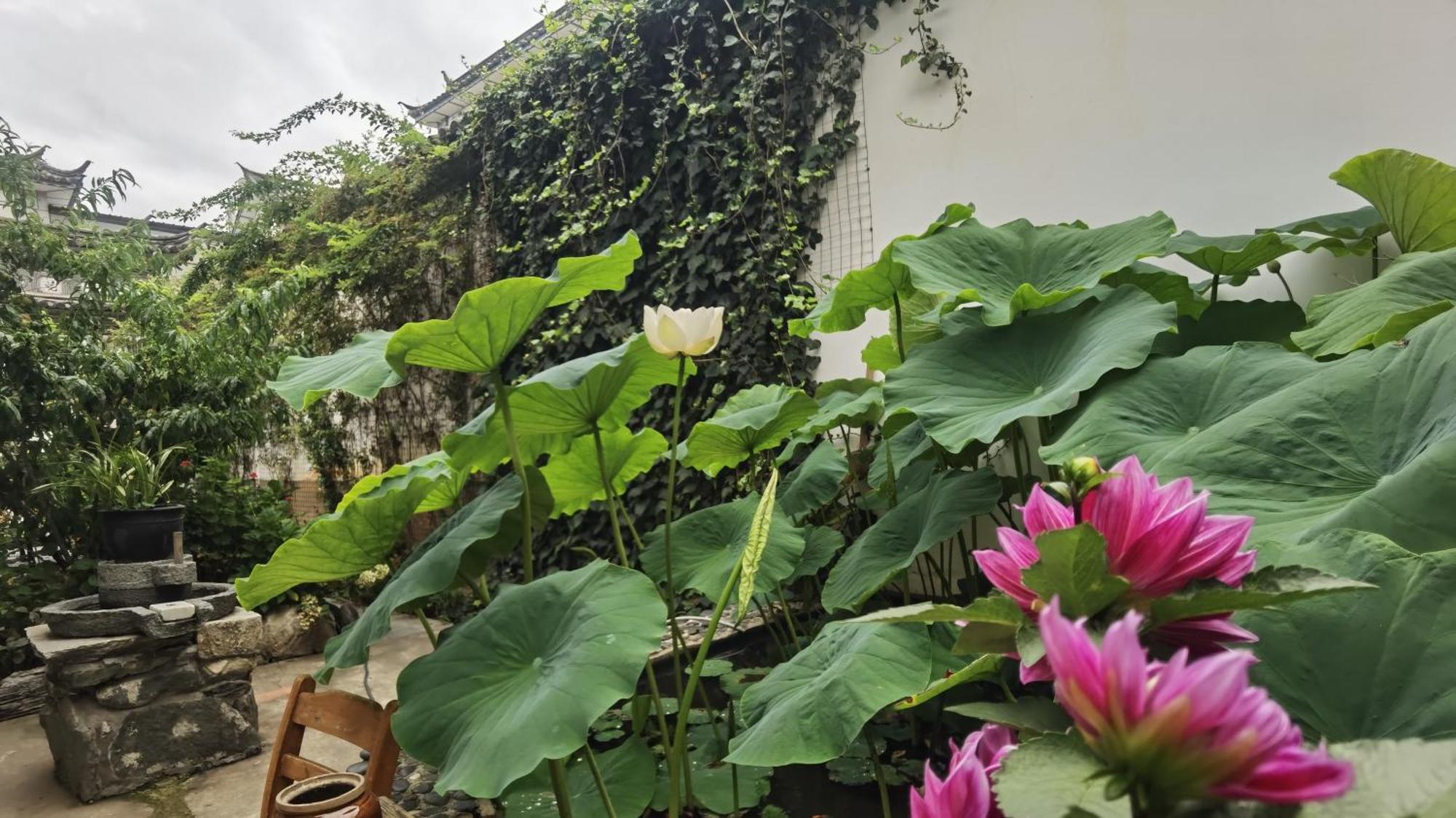 The Lily Pad Inn Dali  Exteriör bild